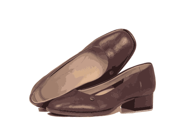 Women's brown leather low heel shoe.
